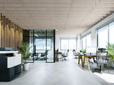 Troldtekt Launches New Acoustic Solution: Baffles Offer Great Flexibility In Design And Installation