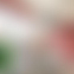 HMG Paints Colours Used In Collyhurst Village Show Homes