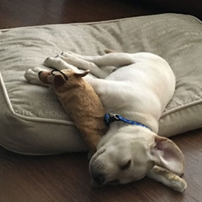 Reduce Sound Transference With CaberAcousticÂ