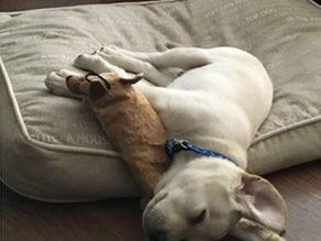 Reduce Sound Transference With CaberAcoustic 