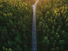 We Should Learn From The Eco Road Maps Of Other Countries