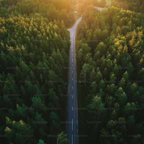 We Should Learn From The Eco Road Maps Of Other Countries