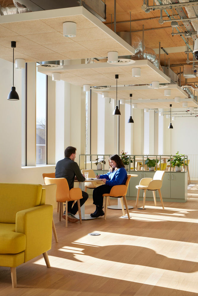 Two people sit at a table in a modern, sunlit office. They're surrounded by yellow chairs, plants, and soft wooden accents.