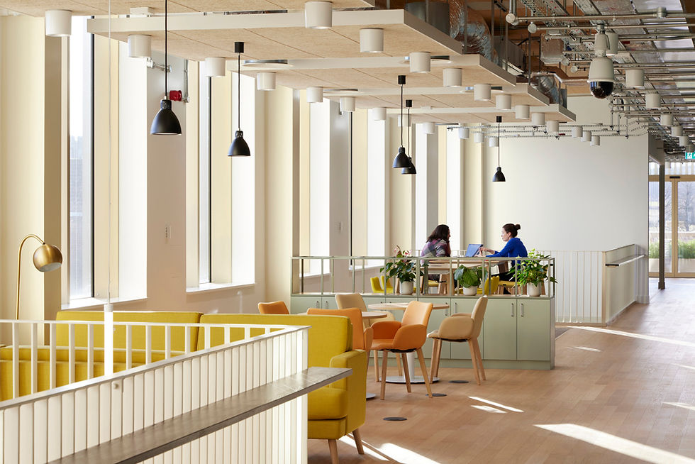 Two people sit at a table with laptops in a bright, modern office with yellow seating, green plants, and overhead black lights.