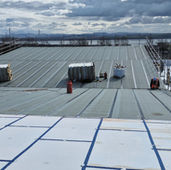 AHR Architects And Q9 Cladding Solutions Give Magply Boards A Definitive Thumbs Up