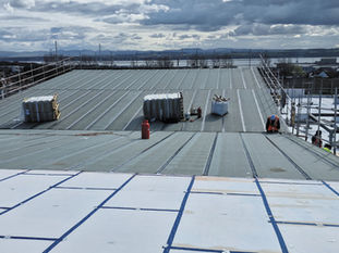 AHR Architects And Q9 Cladding Solutions Give Magply Boards A Definitive Thumbs Up