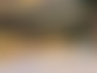 James Hardie Opens The Word's Most Advanced Fibre Gypsum Manufacturing Plant In Orejo (Spain)