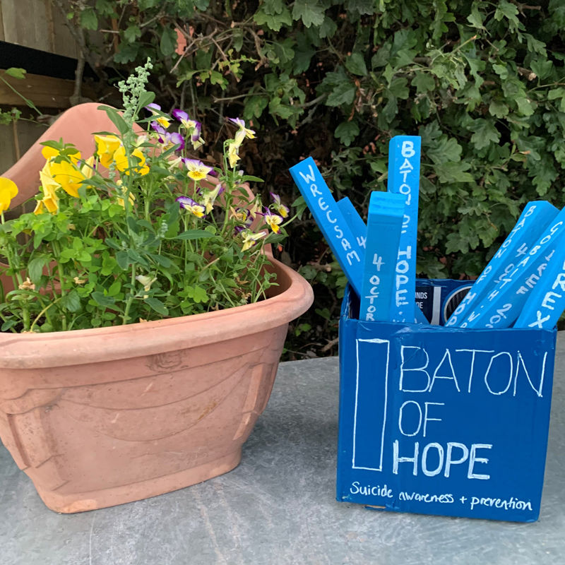 Blue Batons