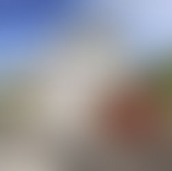 Why The Door Style Will Enhance Or Limit A Garage’s Functionality