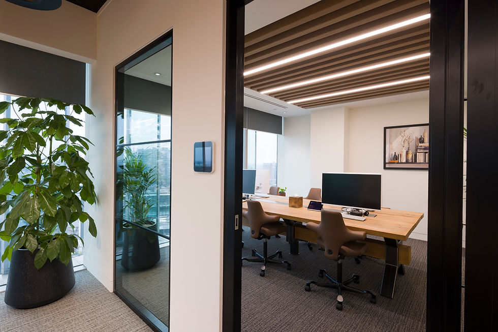 Modern conference room with wooden table, monitors, brown chairs, potted plant, and city-view glass walls in a calm office.