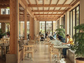New Urban Oasis Created At The Natural History Museum