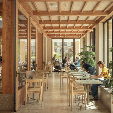 New Urban Oasis Created At The Natural History Museum