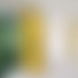 Building a Brighter Future with Vicaima