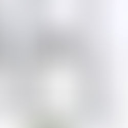 Invisible Innovation: The Architectural Case For Underfloor Drive Systems On Swing Doors