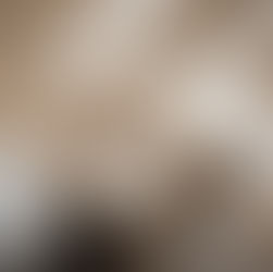 Neutral and Natural: The Latest Tile Collections From Tile Of Spain