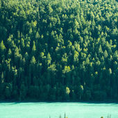 Armacell Commits To Ambitious Climate Action Plan