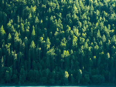 Armacell Commits To Ambitious Climate Action Plan