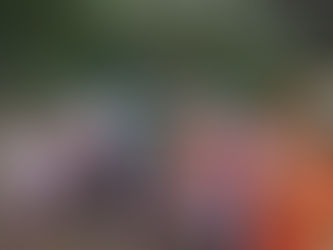 15 AUGUST 2020