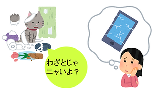 サイトの画像 (2).png