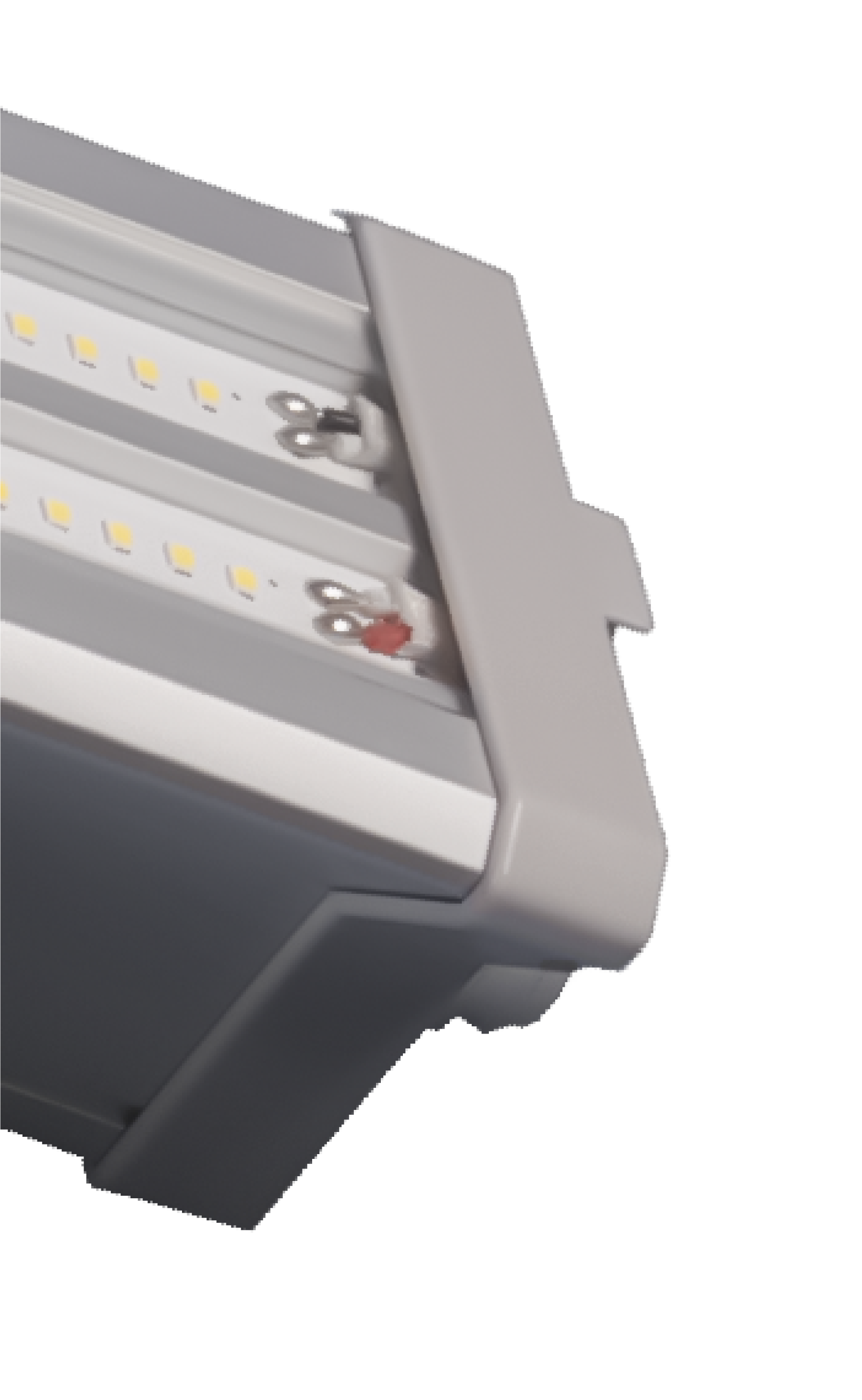 Asset 30.png
