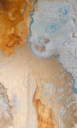 Desertification