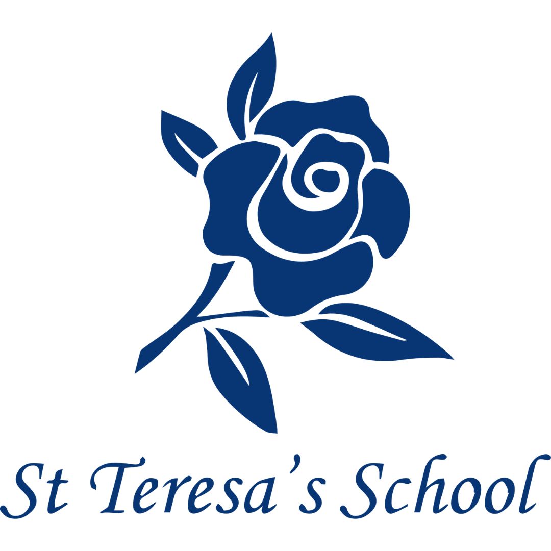 Writer: Saint Teresa's School