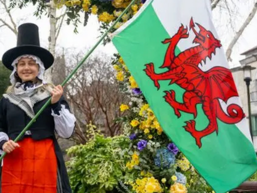 St David's Day and Welsh Affairs 