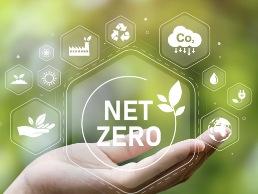 Politics Home: Red Wall Chair Joins Labour MPs Calling For Net Zero Rethink