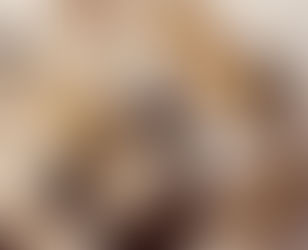 2026 4月 ドラム無料体験枠 豊川市