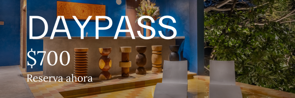 Short Haircut Photo Banner Email Header (2).png