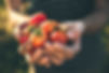 AdobeStock_127177171.jpeg