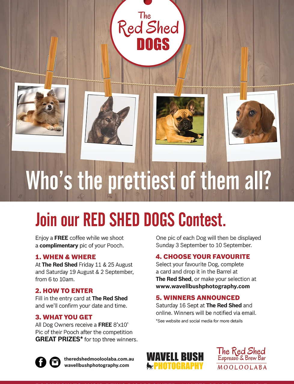 wavell bush photography pet photography queensland three winners discount card flyer