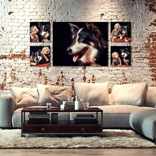 Collection # 1 Room View.jpg