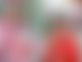 Japan: A Voyage Through Time and Tranquility