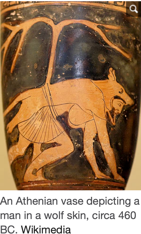 A picture of Greek vase showing a man in an wold skin