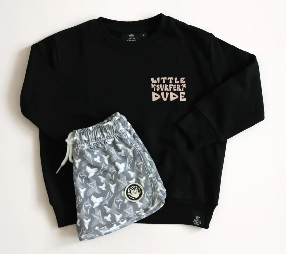 The Little Surfer Dude Designs Illustrations by Loinda Flow