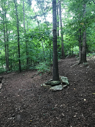 Nature Trail.png