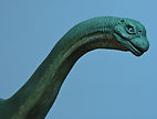 DSCN8084.JPG