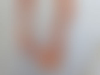 пиометра у собак