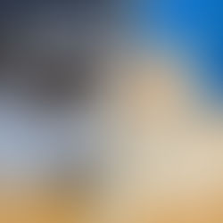 Maine Coon Katzenrasse