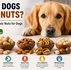dürfen hunde nüsse essen