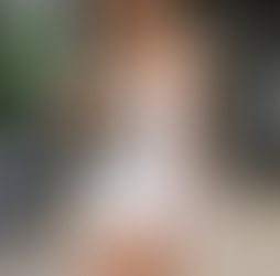 como adotar um gato de um abrigo no canadá