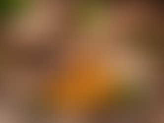 Cogumelo é um vegetal