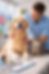 Average Veterinary Costs in Switzerland