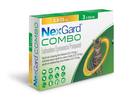 NexGard Combo gatos