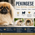 pekinez köpeği