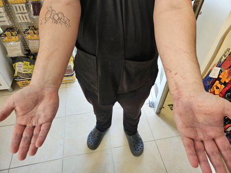 تقييمات العيادات البيطرية