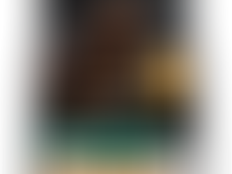 Обзор корма Purina Pro Plan