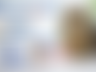 Revolution Plus para gatos