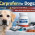 carprofen for dogs